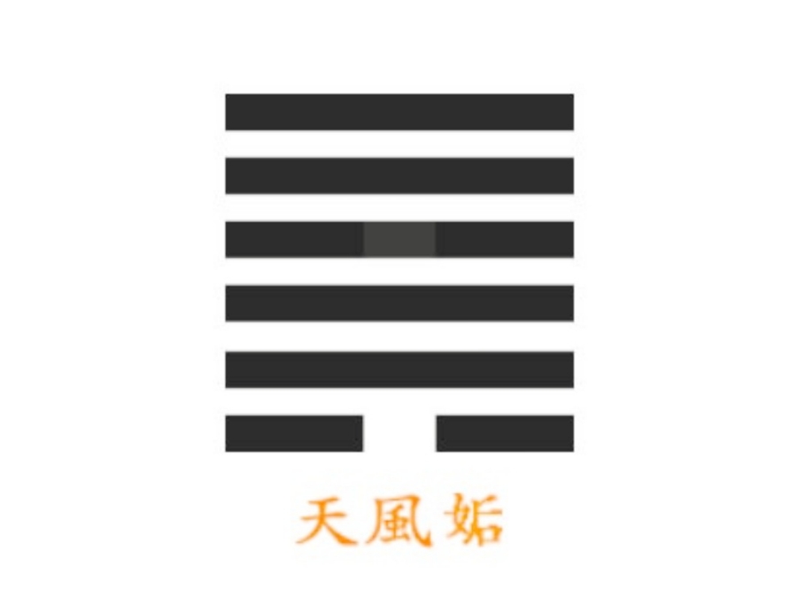 씨앗사랑 이미지