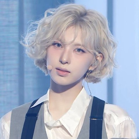 바닐바닐 이미지