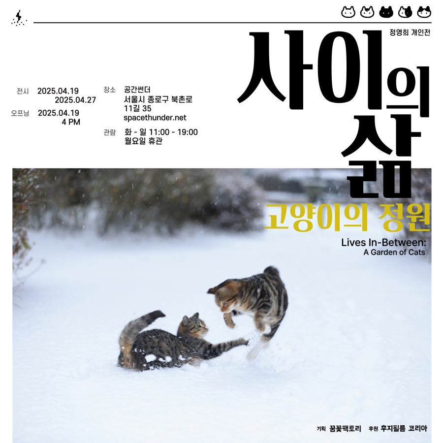 꿈꽃기획 이미지