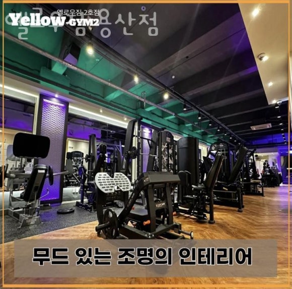 옐로우짐 이미지