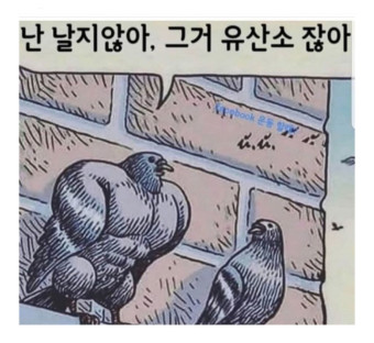 팀메이크짐 이미지
