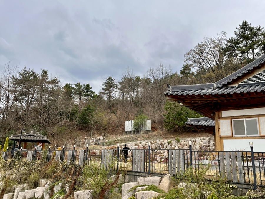 아라실 이미지