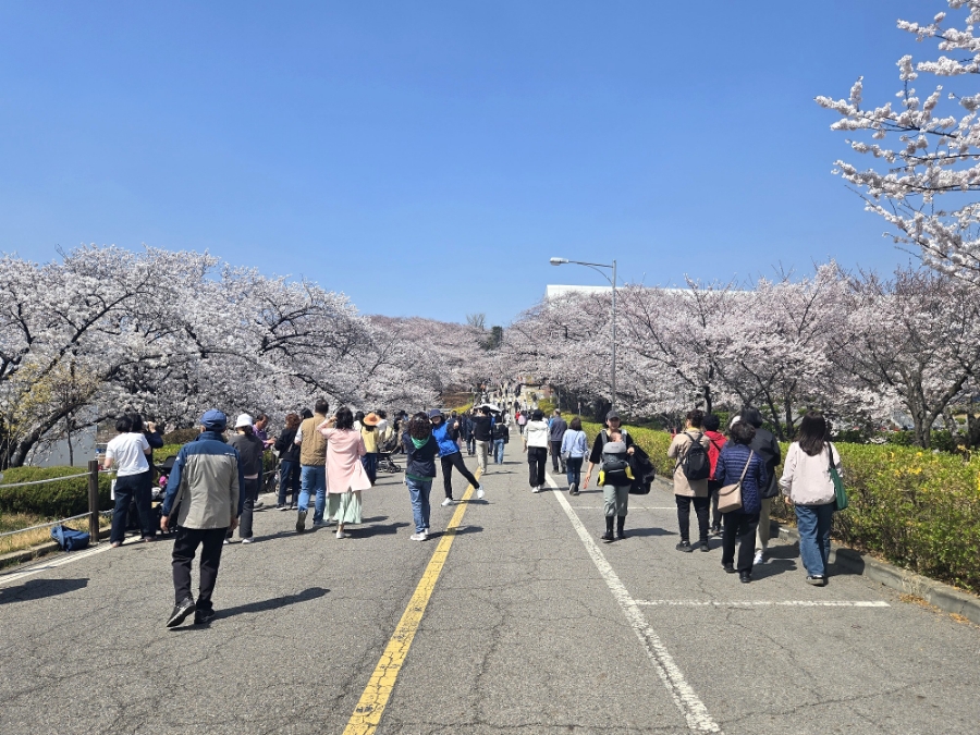 제일큰석유 이미지