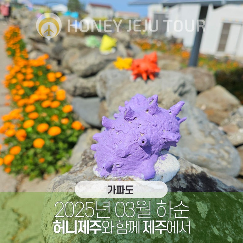 제주다정여행사 이미지