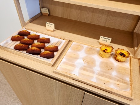 제제딜라잇 이미지
