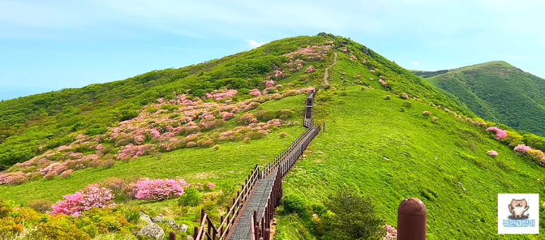 소백산국립공원 희방사코스 이미지