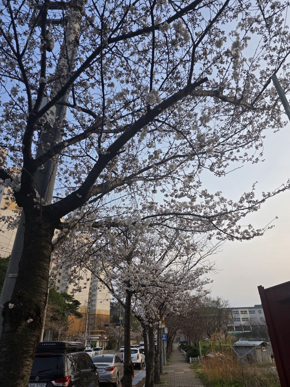 승이네분식 이미지