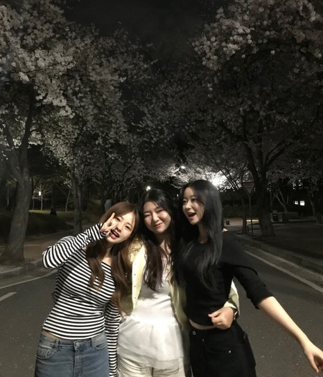 더놀자피시방 이미지