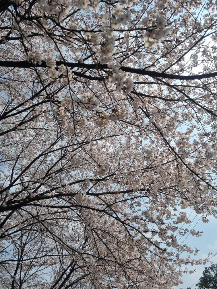 설리반어린이집 이미지