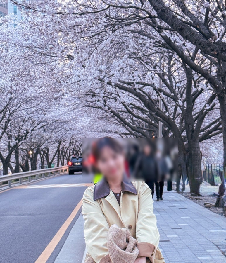벚꽃역 이미지