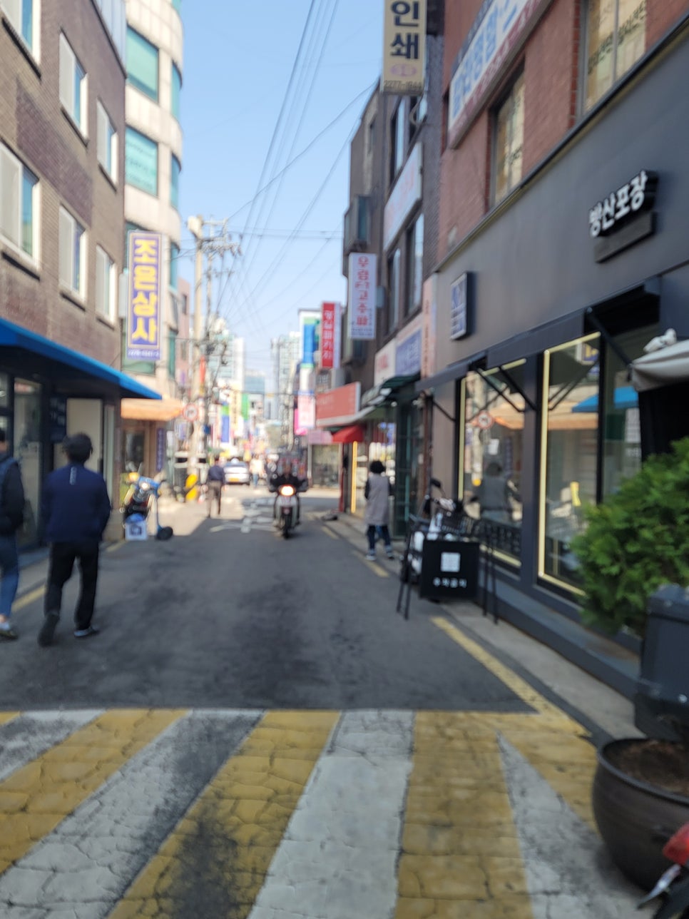 솝마마 이미지
