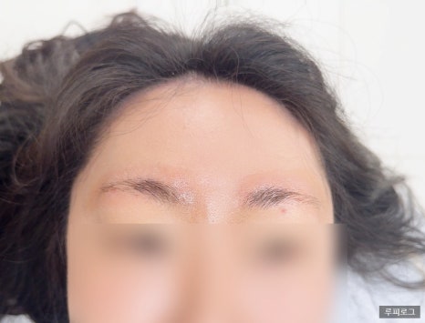 보니움 이미지