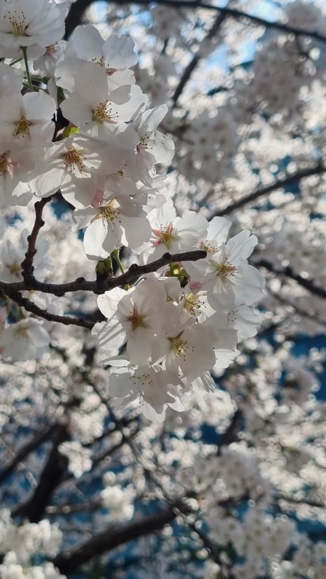 송죽헌 이미지