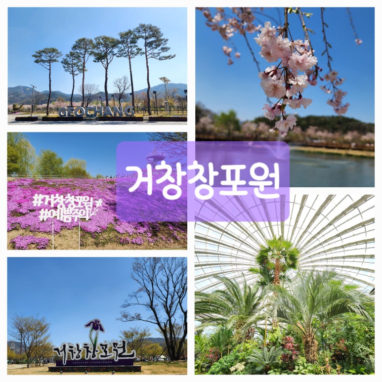 라온나무병원 이미지