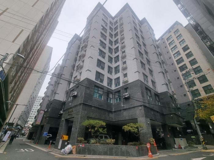 메르센트 이미지
