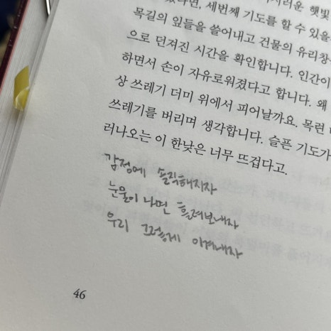 금성서점 이미지