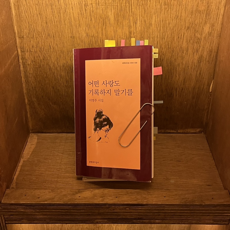금성서점 이미지