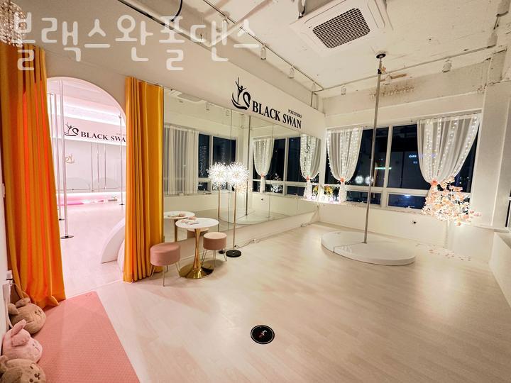 스완폴댄스 이미지