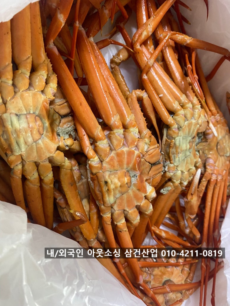 풍성수산 이미지