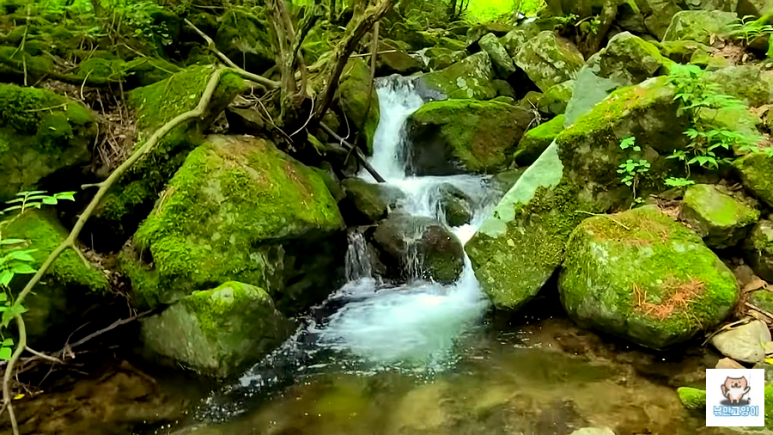 소백산국립공원 희방사코스 이미지
