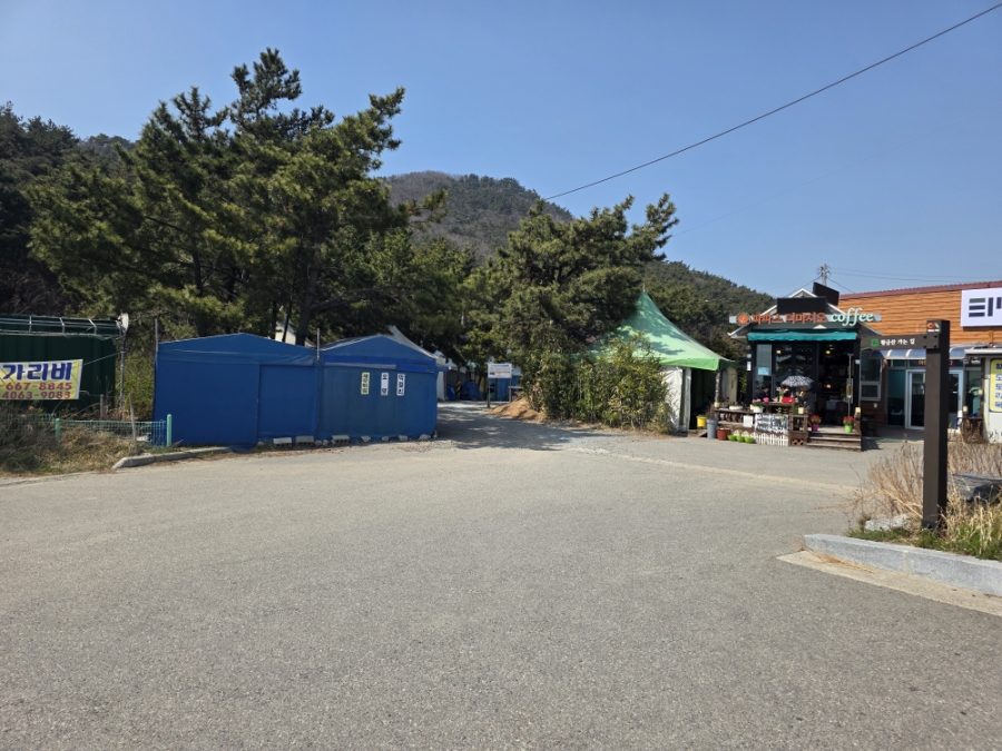 파파스디마지오 이미지