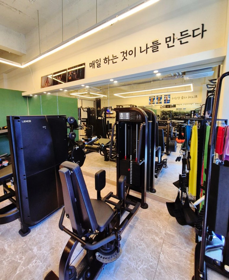 탑바디핏 이미지
