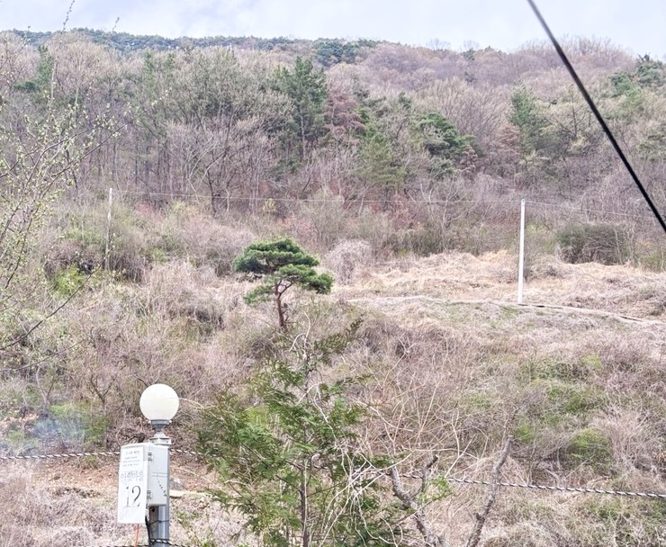 청도 그린나래캠핑장 이미지