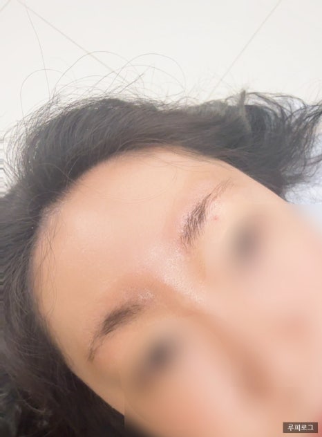 보니움 이미지
