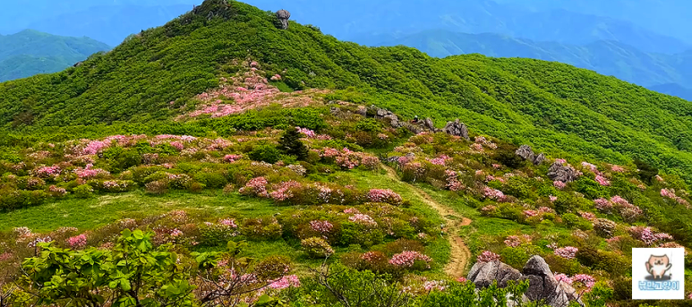 소백산국립공원 희방사코스 이미지