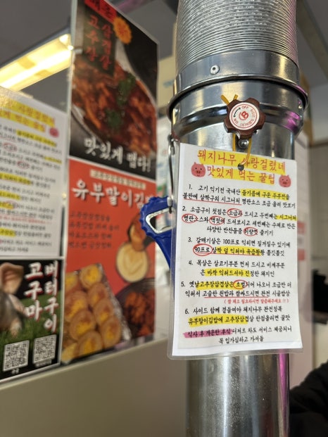 돼지사랑 이미지
