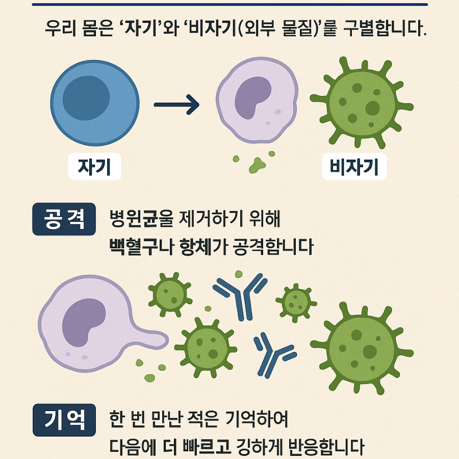 면역농부 이미지