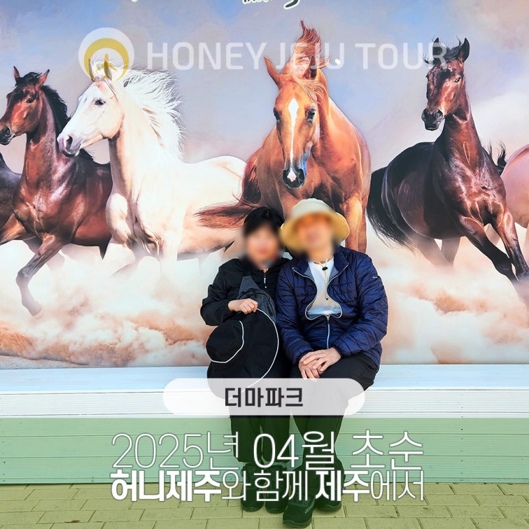 제주다정여행사 이미지