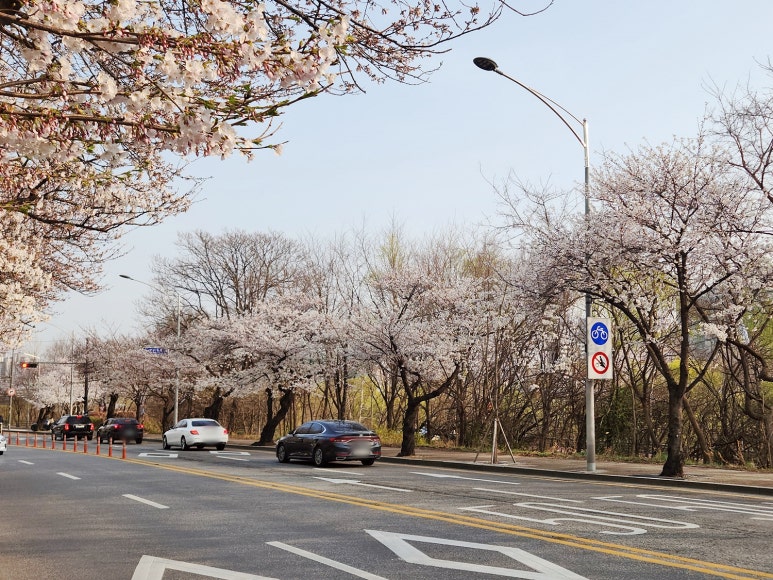 영등포소방서(여의도119안전센터) 이미지