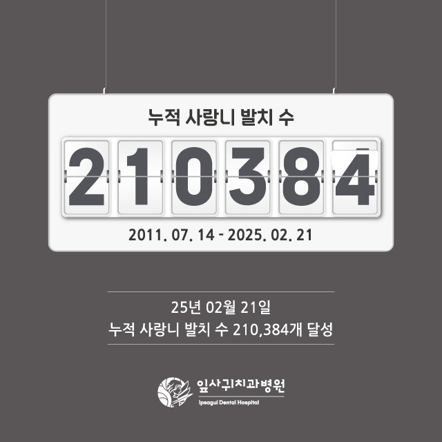 대양장 이미지