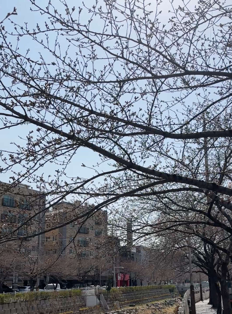 동리단길 피자 이미지