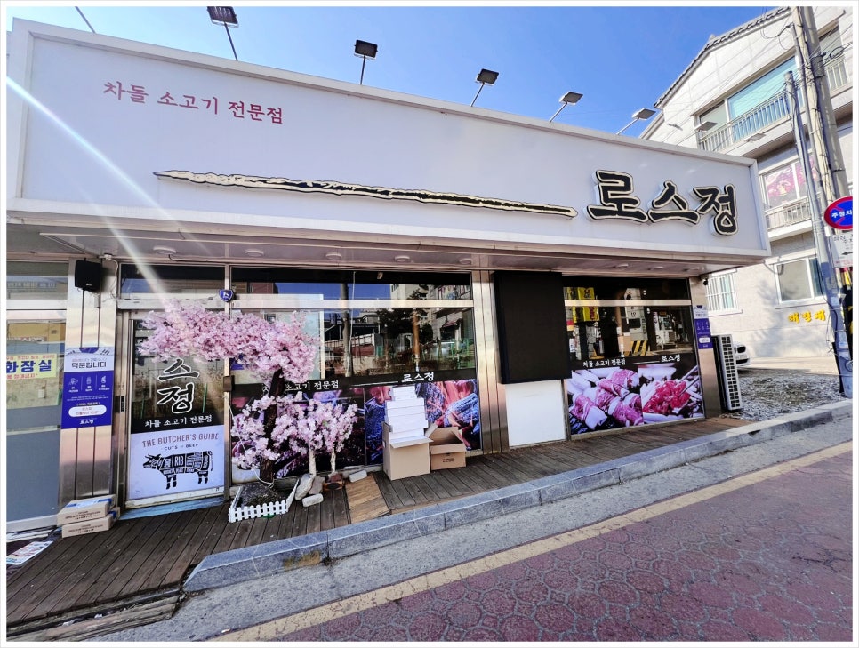 로스정 이미지