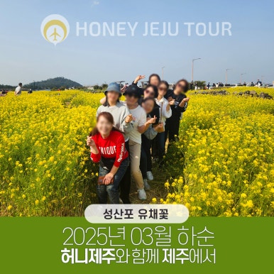 제주다정여행사 이미지