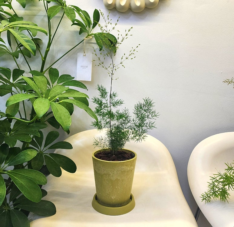 리리프아틀리에 이미지