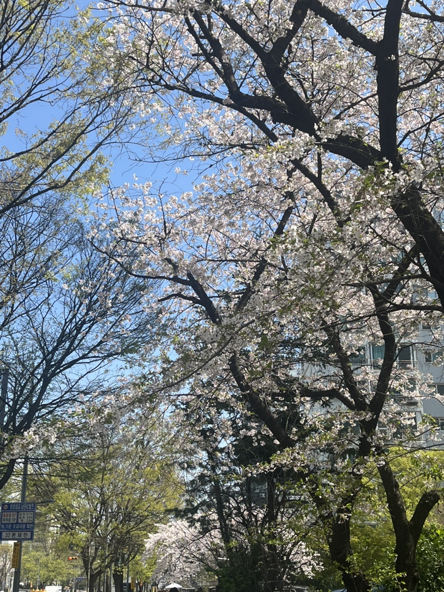오달링니트 이미지