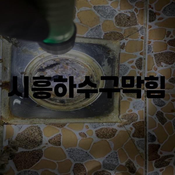 하수구막힘 이미지