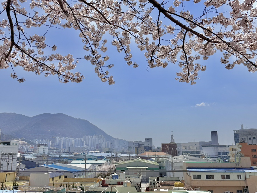 감전상회 이미지