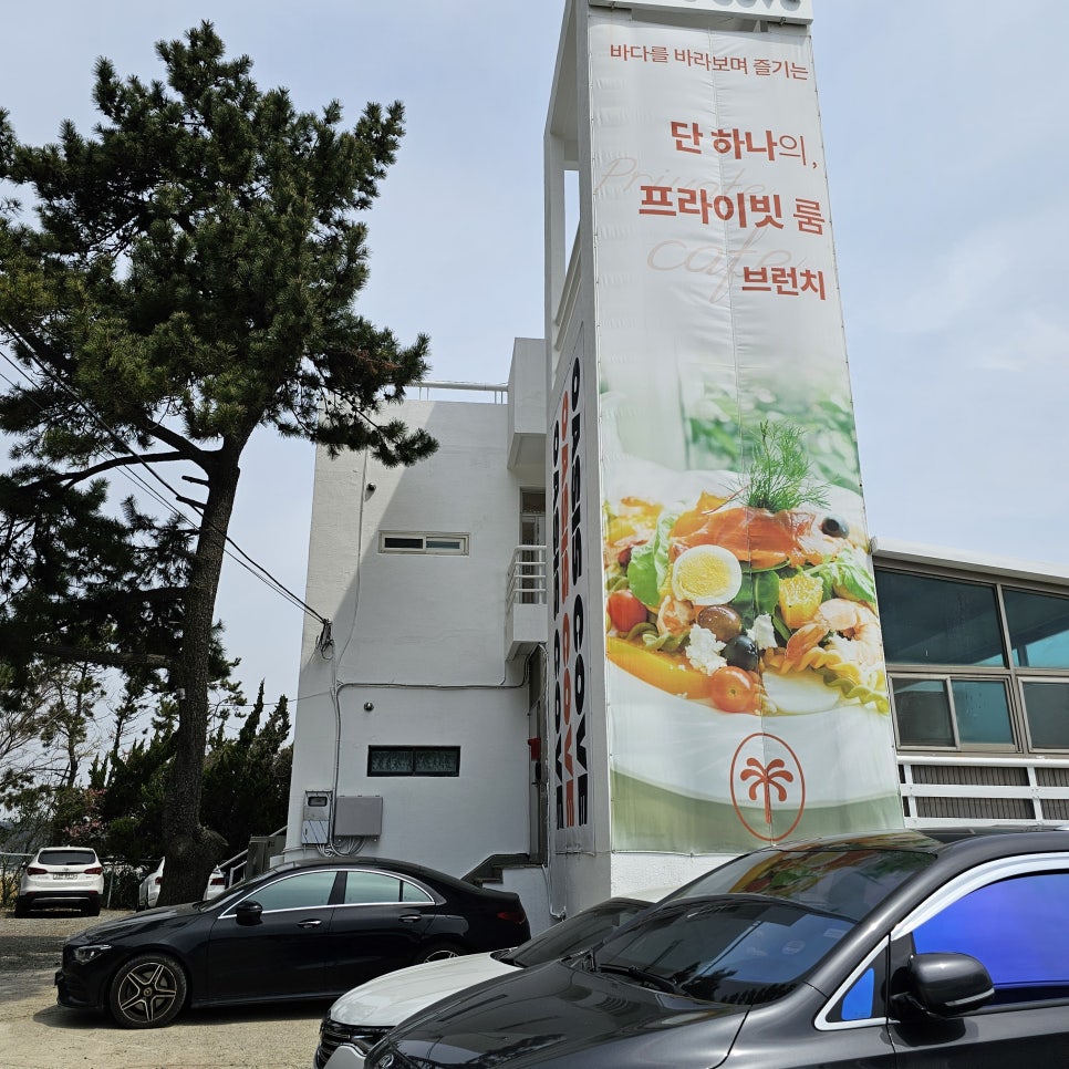 오아시스코브 이미지