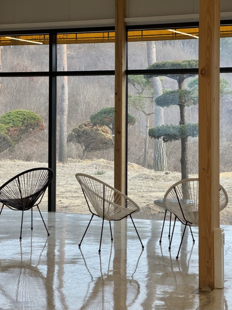카페숲 이미지
