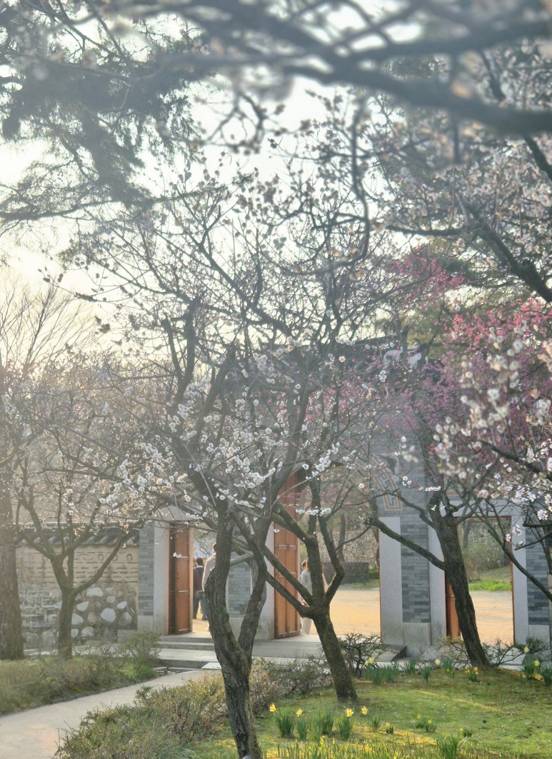 이디야강릉내곡점 이미지
