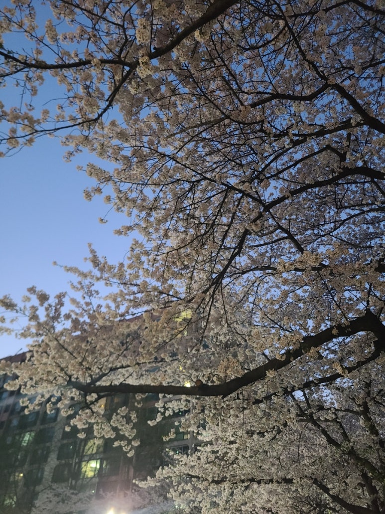 동그라미치킨식당 이미지