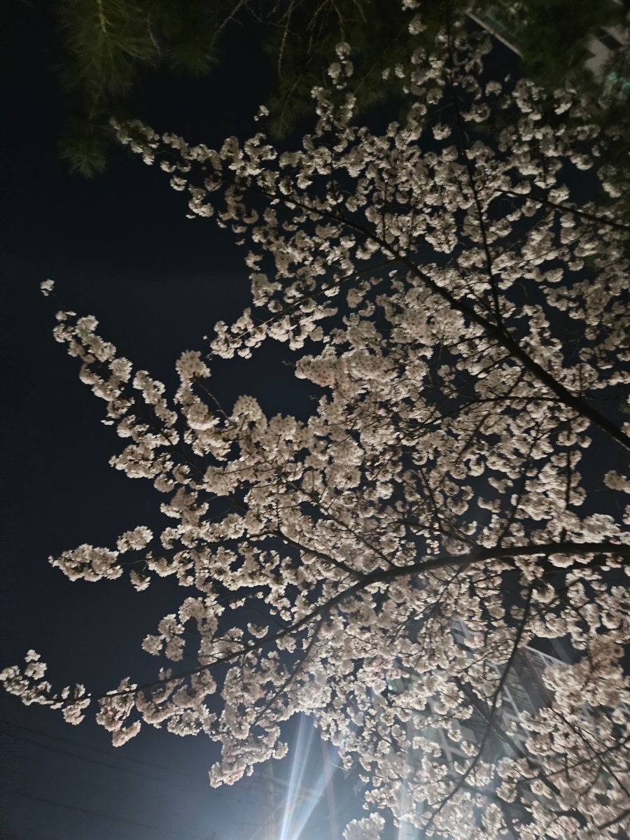 지우수산 이미지