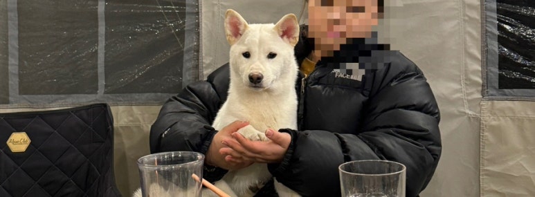 스테이미노 이미지