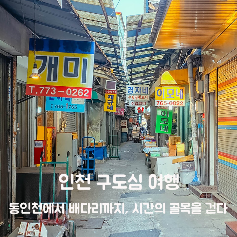 형제레코드 이미지