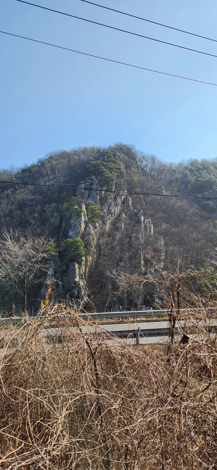 열정 이미지