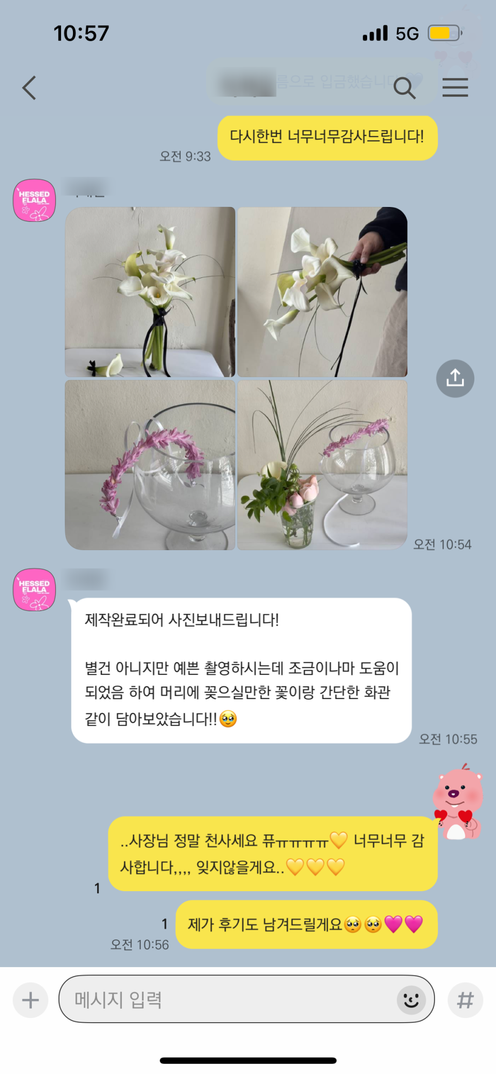 헤쎄드플라라 이미지
